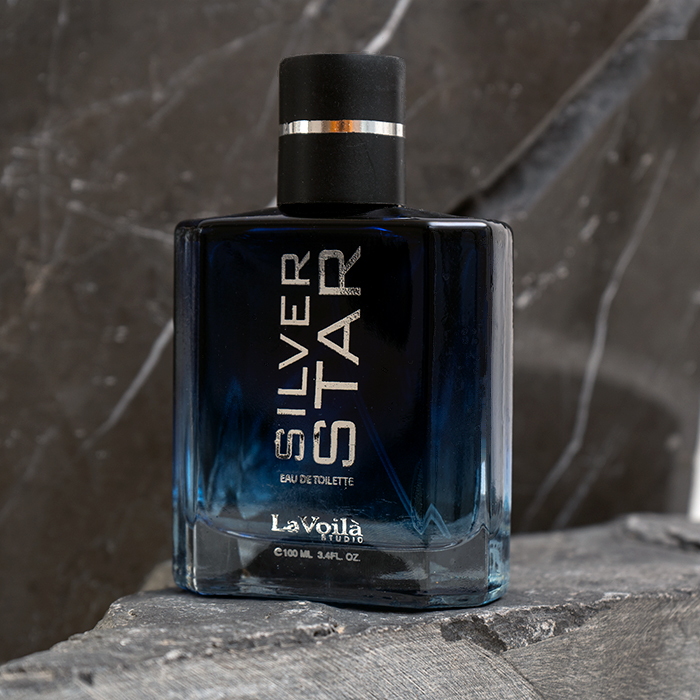 عطر مردانه مدل SILVER STAR